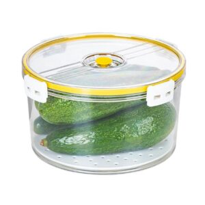 Hokori large round food container