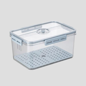 Hokori medium rectangular food container