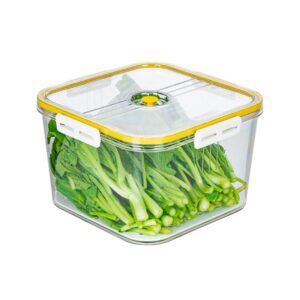 Hokori medium square food container