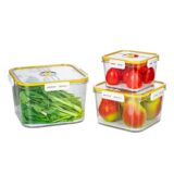 Set of 3 Hokori square food containers