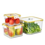 Set of 3 Hokori square food containers